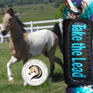 Personalized Embroidered Lead Rope: 30 Rope Colors, 3 Fonts, Multiple Snap Choices. Much Loved Gift for the Horse Person in your Life.