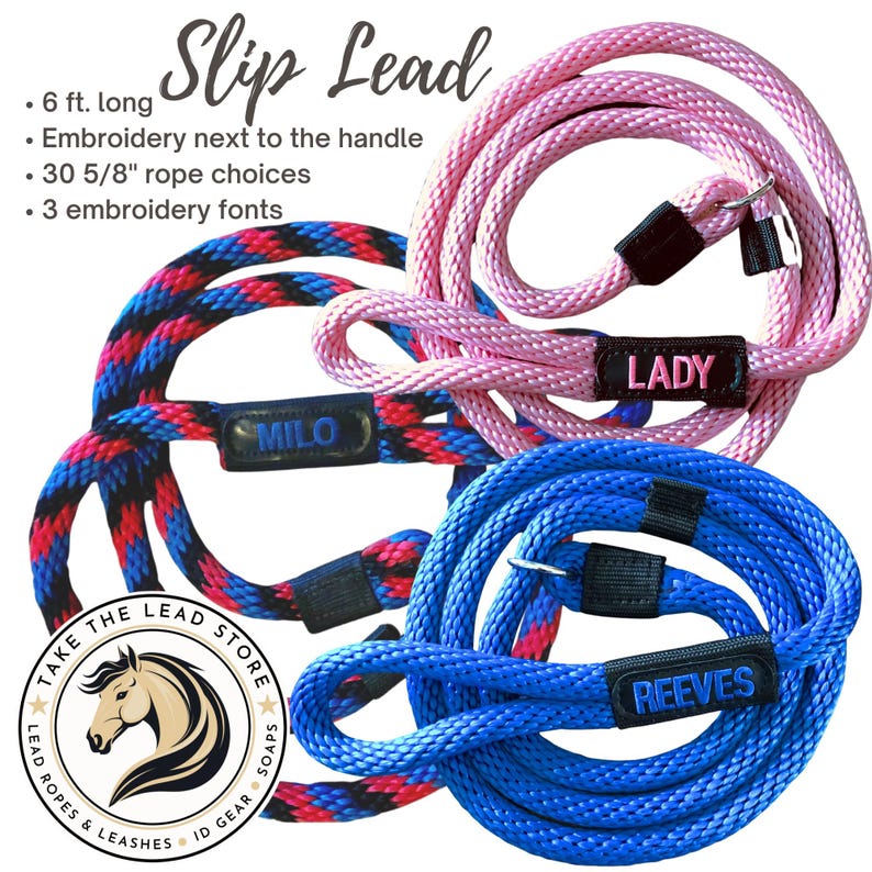 Correa o arnés personalizado bordado para perros: 30 colores de cuerda, 3 fuentes, colores de hilo ilimitados. El regalo ideal para los amantes de los perros. imagen 7