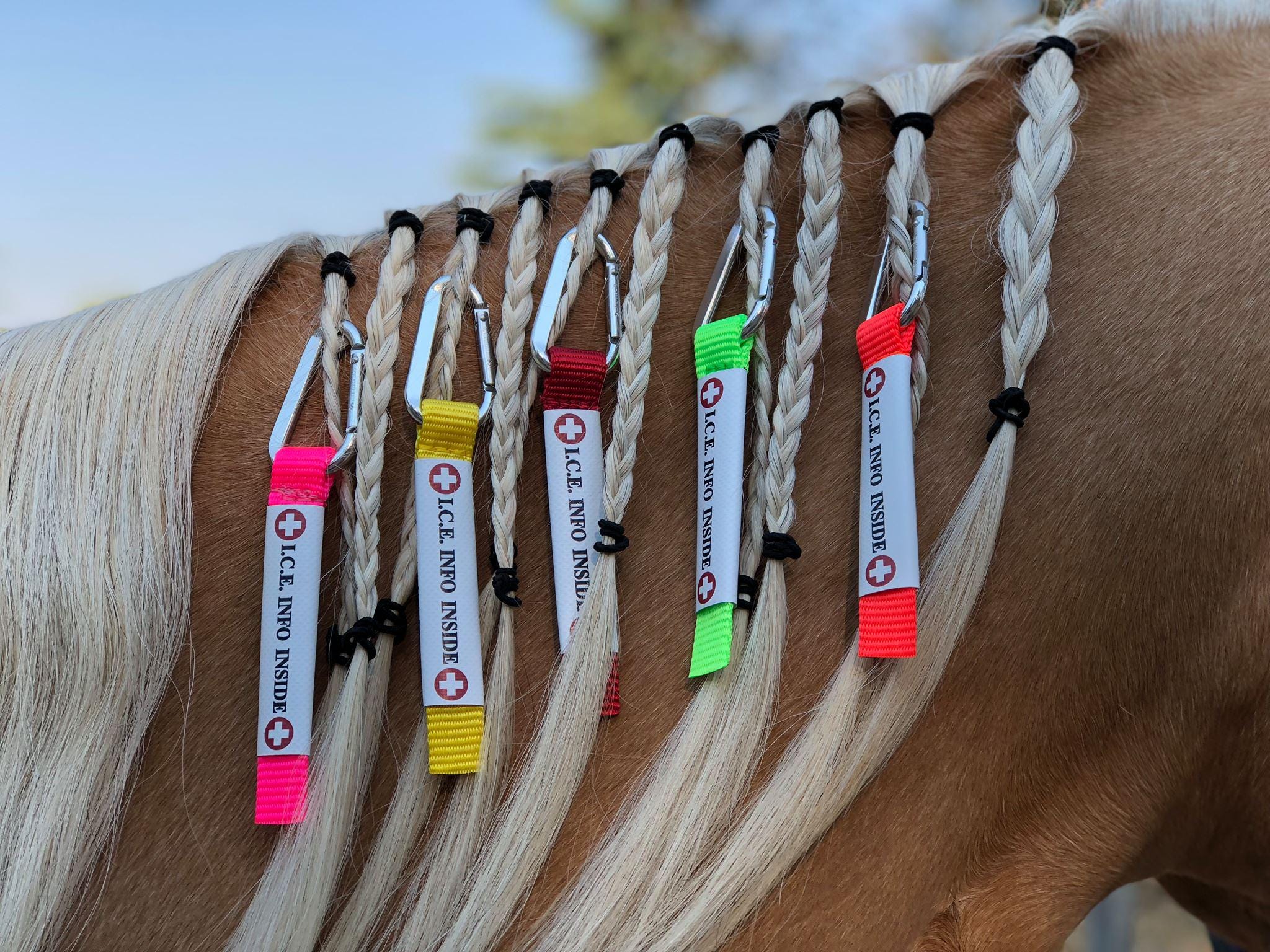Horse identification tags hotsell