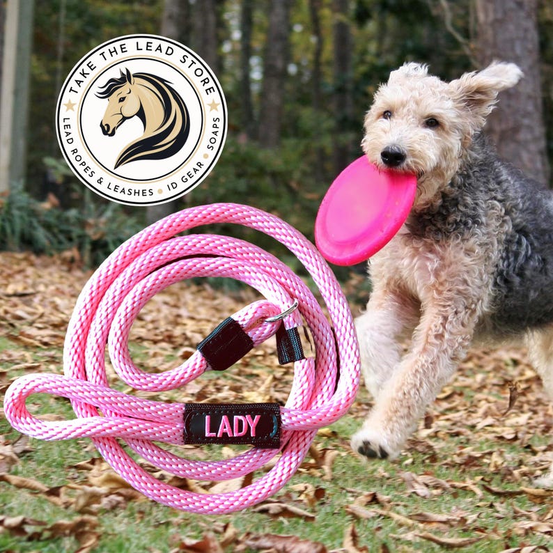 Correa o arnés personalizado bordado para perros: 30 colores de cuerda, 3 fuentes, colores de hilo ilimitados. El regalo ideal para los amantes de los perros. imagen 10