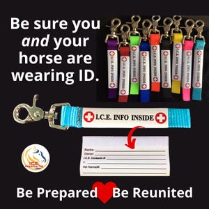 I.C.E. Clip-on Emergency ID Tag: Saddle, Halter, Belt Loop, Backpack