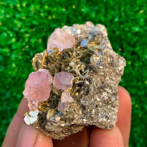 May include: A cluster of pink fluorite crystals embedded in a matrix of gray and brown mica. The crystals are translucent and have a slight shimmer.