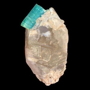 Può includere: Un cristallo di quarzo trasparente con una vibrante formazione di cristallo di tormalina color turchese. La tormalina ha una forma rettangolare e il quarzo ha una superficie ruvida e strutturata. Lo sfondo è nero.