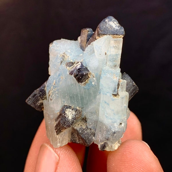 103.0 carats Beautiful Undamaged Top Quality Natural Terminated Sky blue Aquamarine crystals bunch with Black Tourmaline schrol Crystals.