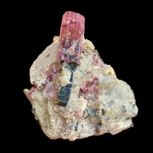 May include: A cluster of pink and black tourmaline crystals embedded in a matrix of white quartz. The crystals are translucent and have a glassy luster.