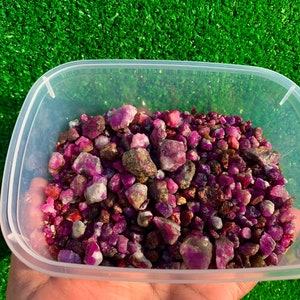 May include: A close-up of a clear plastic container filled with a large quantity of small, rough, purple and red gemstones. The gemstones are various sizes and shapes.