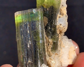 May include: Two green and black tourmaline crystals with a clear quartz matrix. The crystals are long and slender with a striated surface.
