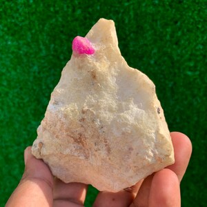 May include: A small, pink ruby crystal embedded in a rough, white rock. The rock is being held in a hand.