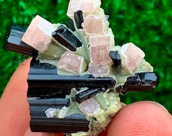 71 カラットの終結した曇りアクアマリン結晶 - アクアマリン - 標本