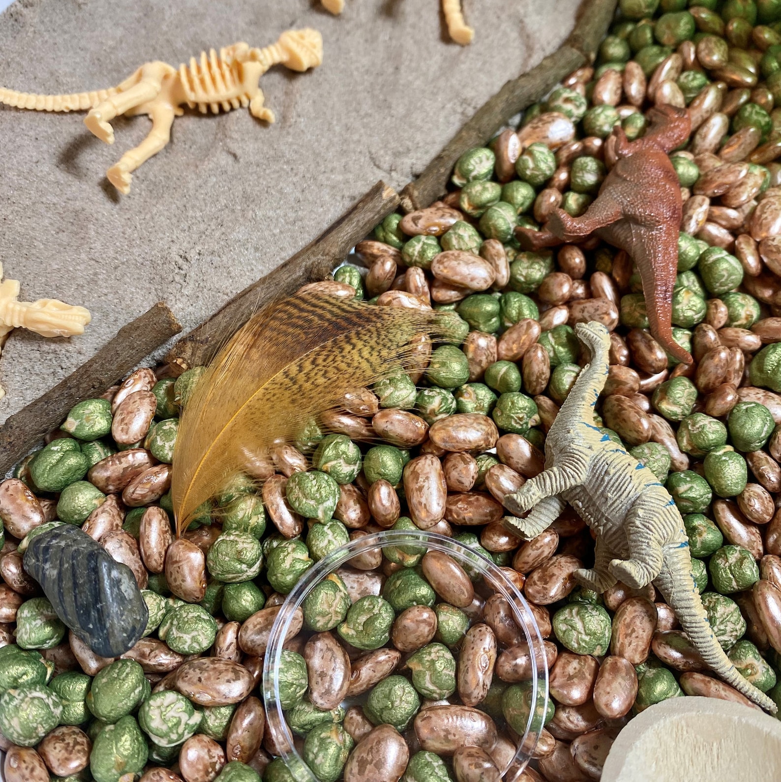 dinosaur sensory tray