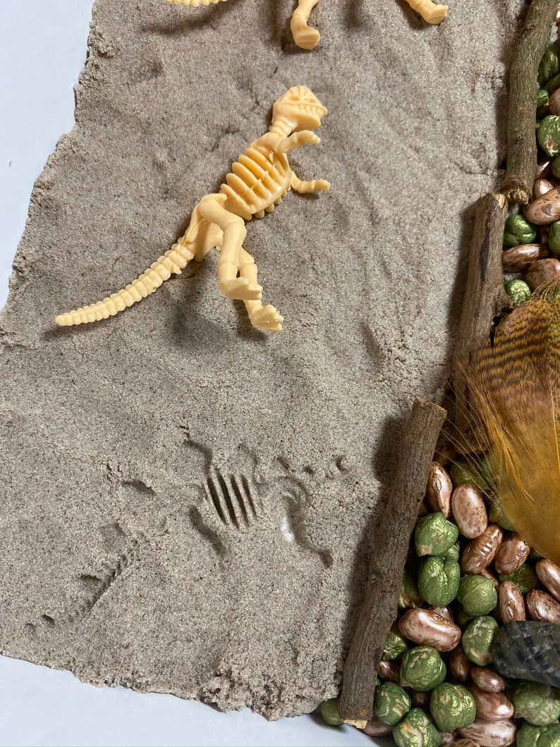 Imaginative Play Dinosaur Dig Sensory Bin Birthday Gift for Kids Dinosaurs Sensory Tray Activity Set Learning Tools for Toddlers