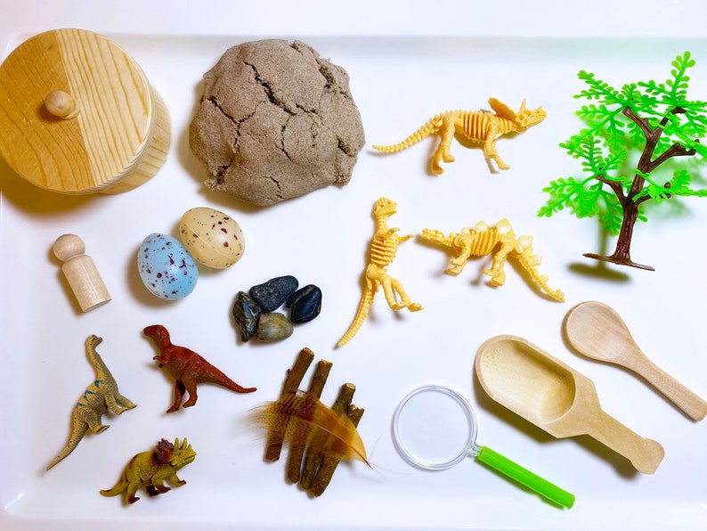 Imaginative Play Dinosaur Dig Sensory Bin Birthday Gift for Kids Dinosaurs Sensory Tray Activity Set Learning Tools for Toddlers