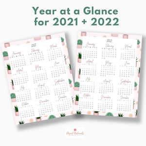 May include: A printable calendar for the years 2021 and 2022. The calendar features a pink background with a repeating pattern of potted succulents. Each month is displayed in a separate box with the month name and days of the week labeled.