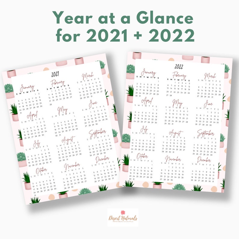 May include: A printable calendar for the years 2021 and 2022. The calendar features a pink background with a repeating pattern of potted succulents. Each month is displayed in a separate box with the month name and days of the week labeled.