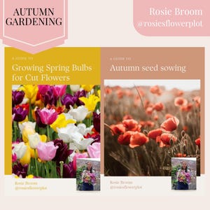 Autumn gardening, gardening book, flower book, gardening guide, flower guide, grow your own, garden book, garden planner, seed sowing