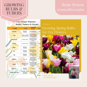 Growing spring bulbs, gardening book, flower book, gardening guide, flower guide, flower planner, garden book, garden planner, spring flower