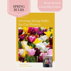 A guide to growing spring bulbs, gardening book, flower book, gardening guide, flower guide, grow your own, garden book, garden planner