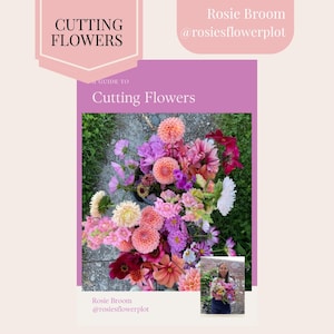 A guide to cutting flowers, flower guide, gardening book, gardening guide, flower book, garden book, garden guide, cut flowers