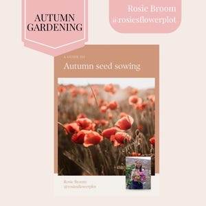 A guide to autumn seed sowing, gardening book, flower book, gardening guide, flower guide, grow your own, garden book, garden planner