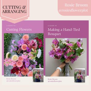 A guide to cutting & arranging flowers, flower arranging, gardening book, gardening guide, garden book, garden guide, flower crafts, hobbies