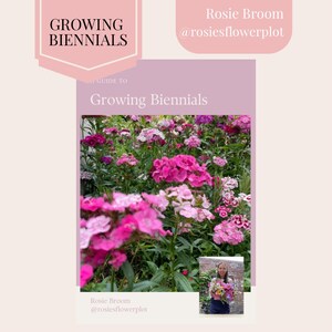 A guide to growing biennials, gardening book, flower book, gardening guide, flower guide, grow your own, garden book, garden planner