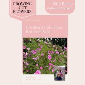 How to create a cut flower bed, gardening book, garden guide, flower book, garden planner, gardening guide, gardening planner, flower guide
