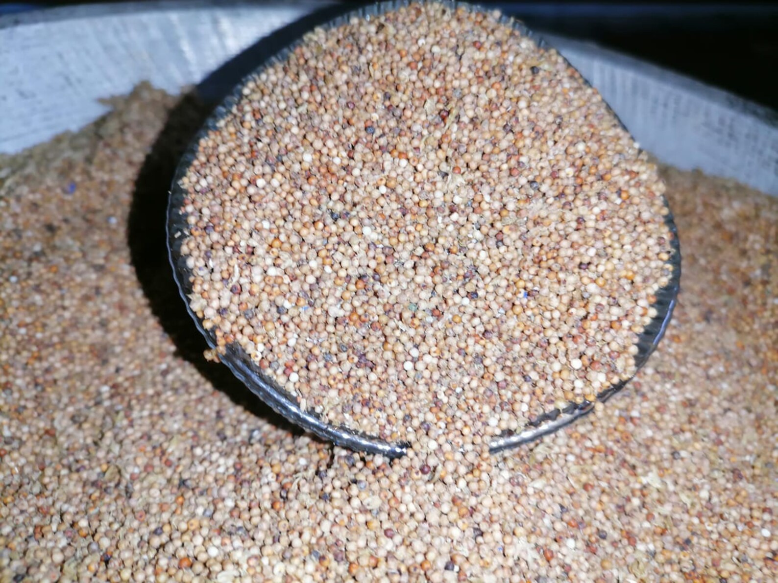 100 Organic Finger Millet Grain Etsy
