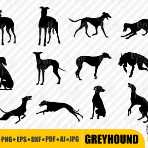 SVG de lévrier, paquet de Silhouette de lévrier, chien Svg, Clipart de lévrier, fichiers Cricut de lévrier, formes de lévrier, conception de lévrier, numérique