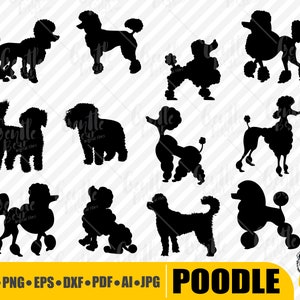 Poodle Svg Silhouette,Poodle SVG Bundle,Poodle Dog Svg,Poodle Clipart,Poodle cut files,Poodle Shapes,Poodle Design,Poodle Digital download