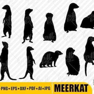 Meerkat Svg Silhouette,Meerkat SVG Bundle, Meerkat EPS, Meerkat Clipart, Meerkat Cricut files,Meerkat Shapes,Meerkat Design, Meerkat Digital