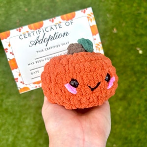 Adopt a Crochet Pumpkin