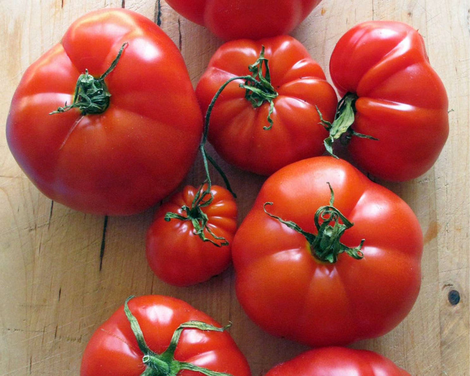 Large Marmande Tomato Seeds x10 Beefstake Variety Easy to Etsy