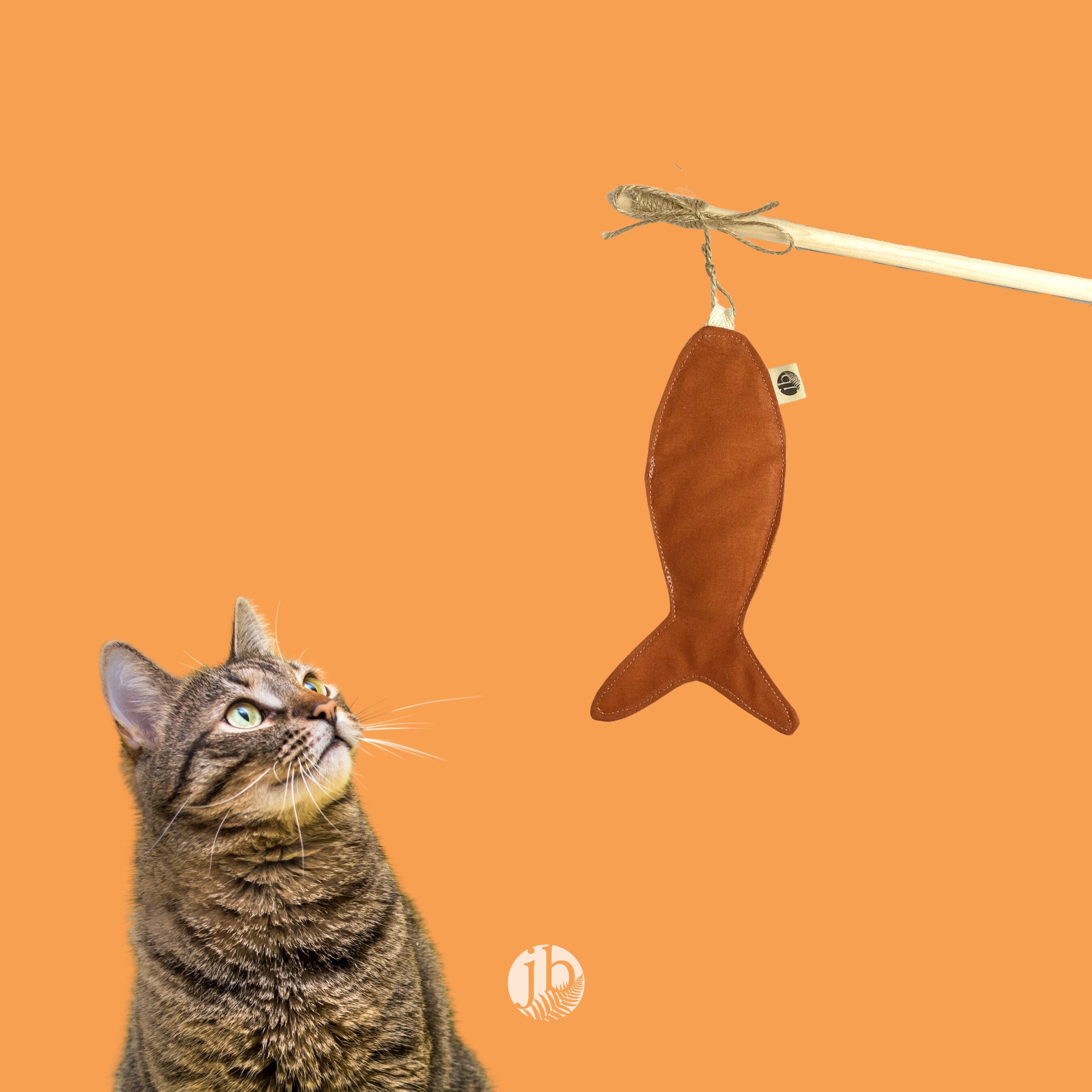 Orange Catnip Fish -  Canada