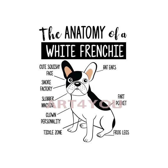 Anatomy Of A french bulldog french bulldog png french Etsy