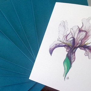 Blanco lentekaarten boxset van 10 | Handgeschilderde iris | Bloemenkaarten voor elke gelegenheid | Moederdagkaarten | Paaskaarten | Verjaardagskaarten
