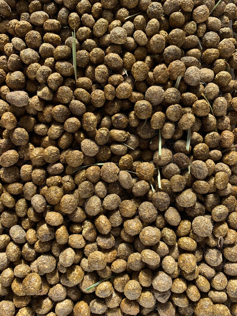 All Natural Bunny Poop for Fertilizer Organic Fed Holland Lop Etsy