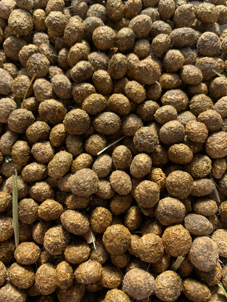 All Natural Bunny Poop for Fertilizer Organic Fed Holland Lop Etsy