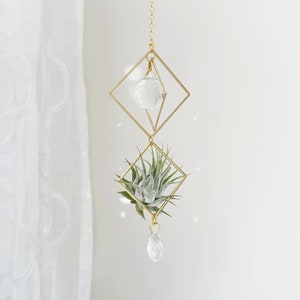 Air Plant Suncatcher | Brass Geometric Crystal Window Hanging | Mila