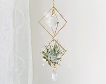 Air Plant Suncatcher | Gold Geometric Crystal Window Hanging | Mila