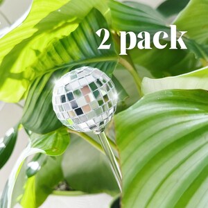 May include: Two silver disco ball plant stakes in a green potted plant. The plant stakes are made of a clear plastic stick with a silver disco ball on top. The text "2 pack" is written in white on a green leaf.