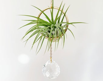 Suncatcher Air Plant Hanger, Air Plant Display Holder, Suncatcher Prism Crystal, Plant Hanging, Suncatcher For Windows, Plant Gifts || Kylie