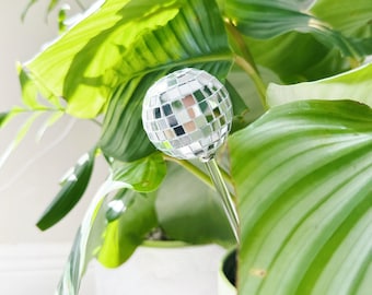 Disco Ball Plant Stakes, Houseplant Accessories, Disco Ball Plant Decor, Plant Gift, Plant Lover, Disco Ball For Planters, 2 PACK ||  Donna
