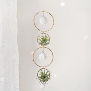 Air Plant Suncatcher Holder | Double Plant Hanger Houseplant Accessory | Finley