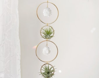 Puede incluir: Un soporte colgante de metal dorado para plantas con tres marcos circulares. Cada marco contiene una pequeña planta aérea y una bola de cristal transparente. El soporte está suspendido por una delicada cadena, creando una exhibición moderna y elegante.