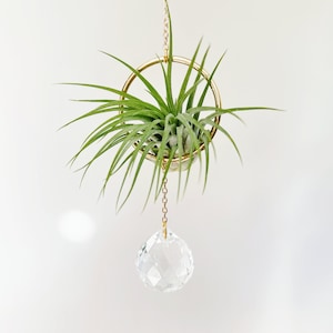 Suncatcher Air Plant Hanger, Air Plant Display Holder, Suncatcher Prism Crystal, Plant Hanging, Suncatcher For Windows, Plant Gifts || Kylie