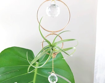 Gold Air Plant Suncatcher Holder | Crystal Prism Window Hanging Display | Aria