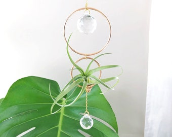 Suncatcher Prism Air Plant Hanger, Crystal Suncatcher, Air Plant Holder, Air Plant Display, Suncatcher Window Hanging, Plant Gifts || Aria