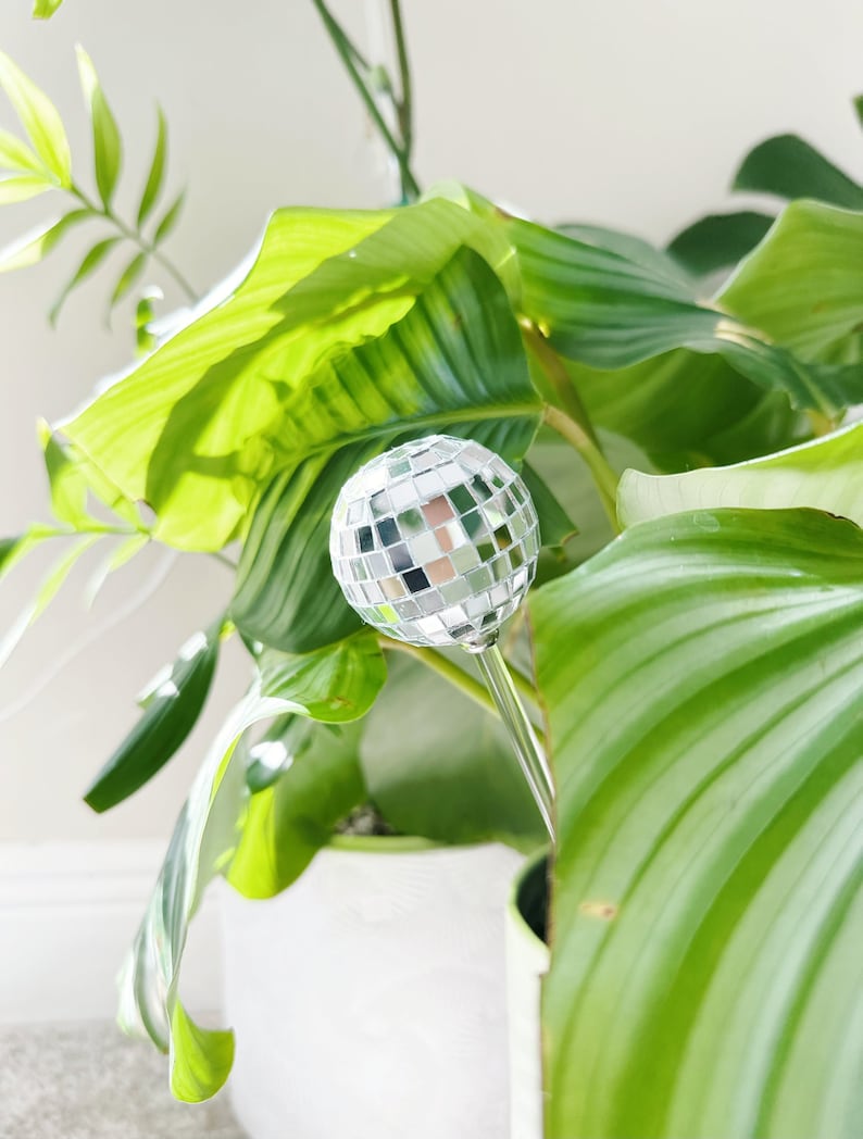 May include: A silver disco ball ornament on a stick, surrounded by green leaves of a houseplant.