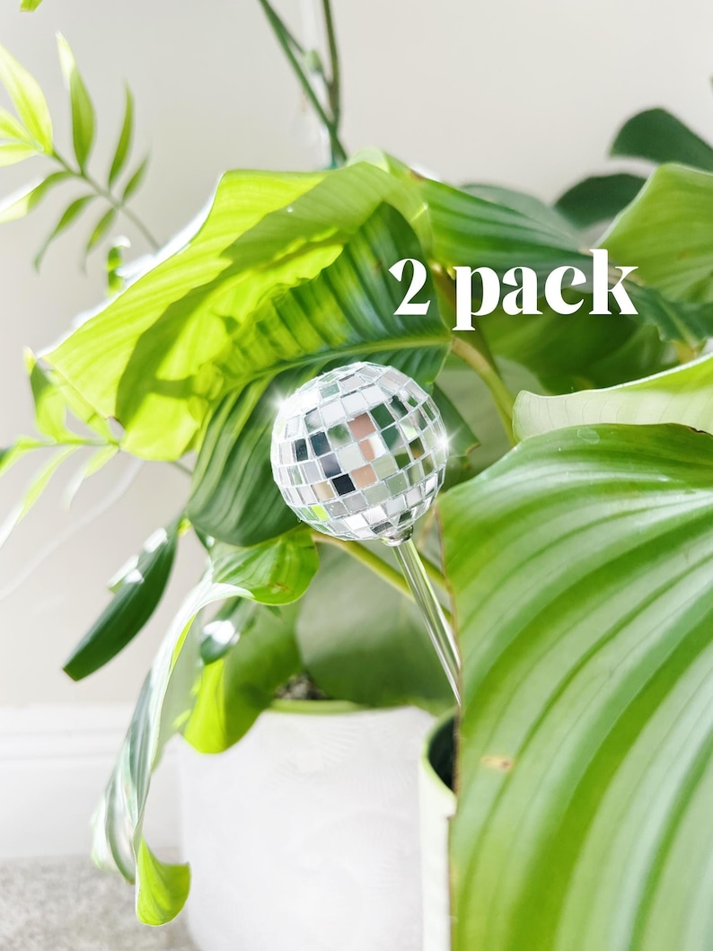 May include: Two silver disco ball plant stakes in a green potted plant. The plant stakes are made of a clear plastic stick with a silver disco ball on top. The text "2 pack" is written in white on a green leaf.