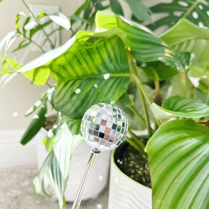May include: A silver disco ball ornament on a silver stick, surrounded by green leafy plants.